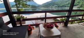 Cottage on the lake Aleksandar